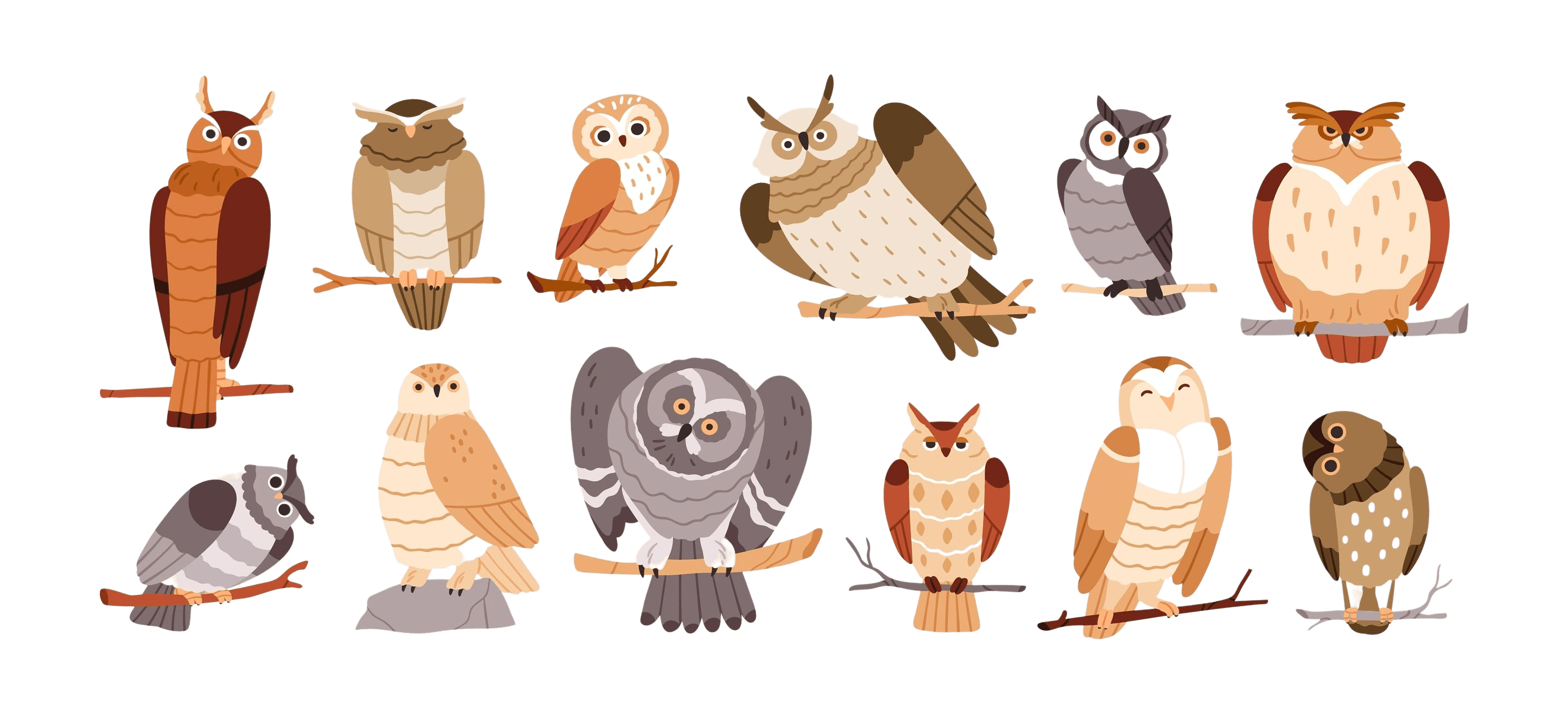 Due file di gufi pronti a partire per consegnare un messaggio